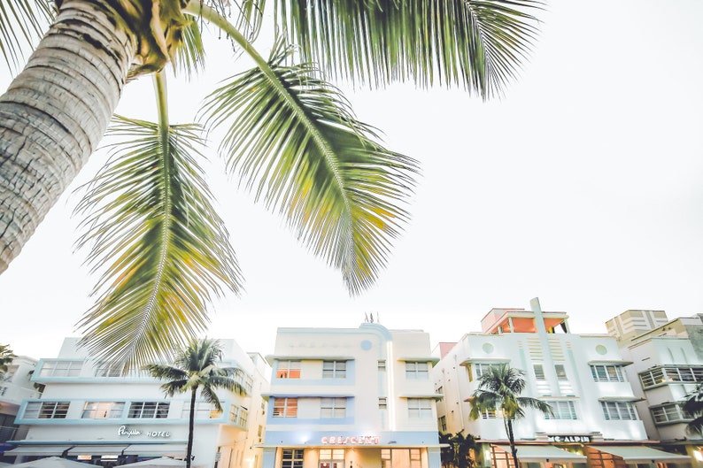 South Beach photography print showing 3 Art Deco hotels framed under a palm tree on the top left.  Soft pastel colors.