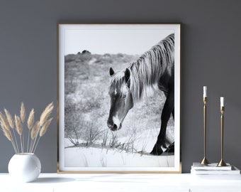 Wild Horse Print, Outer Banks Art, Coastal Wall Art, Shackleford Banks, Black and White Photography, Horse on a Beach, North Carolina Print