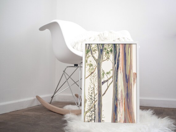 Tree Art Abstract Tree Photography Rainbow Eucalyptus Tree Etsy