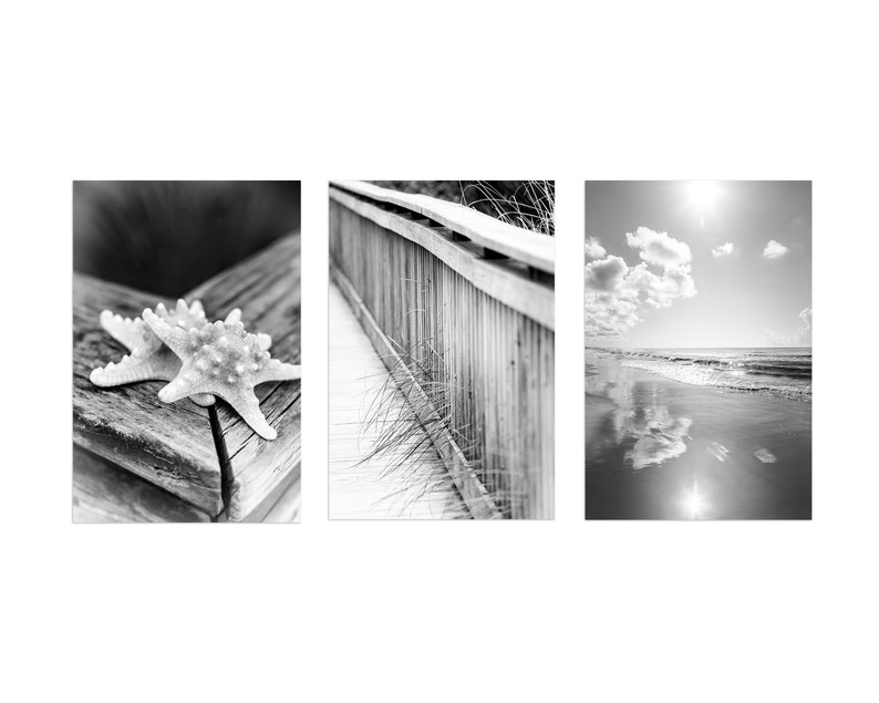 Set of 3 Coastal Wall Art Surf Decor Beach Photography Modern Coastal Art Starfish Black and White Print Set Beach House Decor