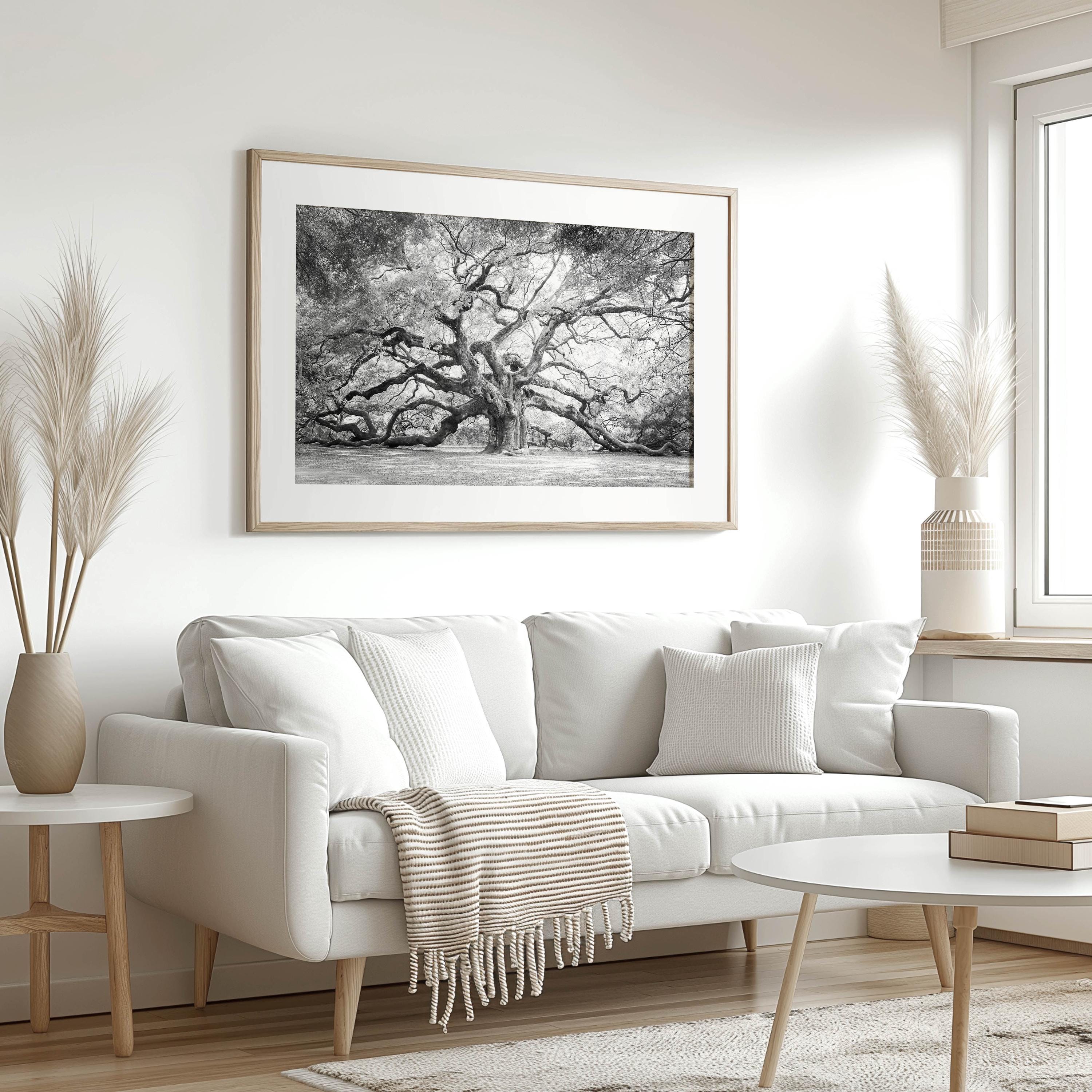 Angel Oak Tree Wall Art | Black and White Photography - Unframed