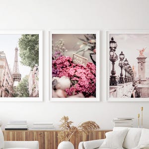 Paris Prints Paris Wall Art Pink Paris Print Aesthetic Wall Art Preppy Pink Art France Eiffel Tower Flowers Architectural Paris Photography