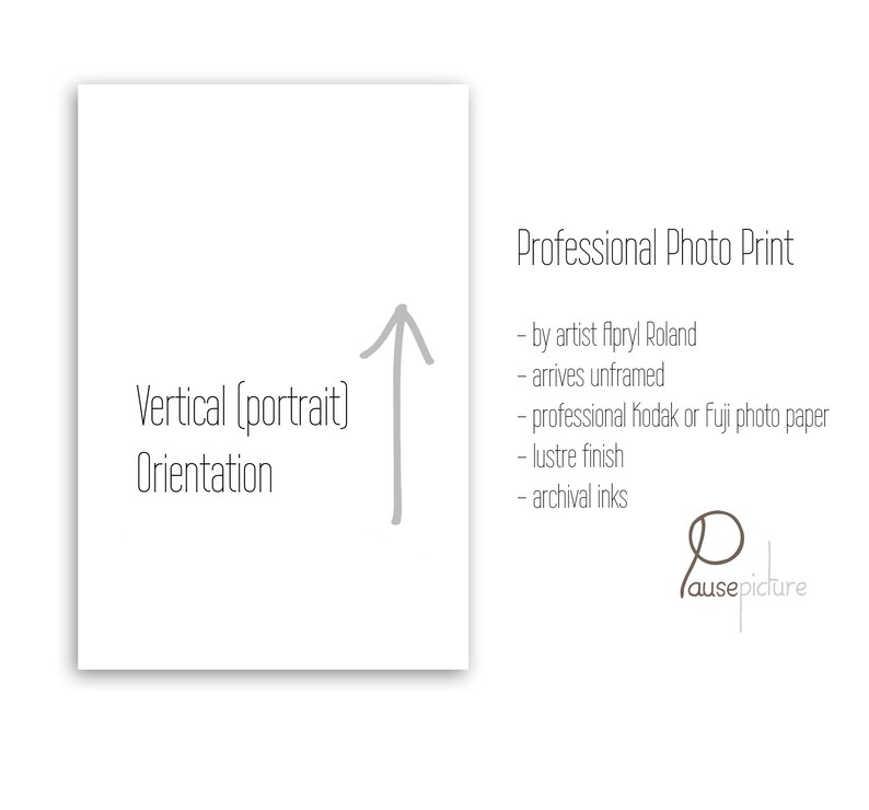 May include: A white print with the text "Vertical (portrait) Orientation" and an upward-pointing arrow. The text "Professional Photo Print" is also present, along with details about the print's features, including archival inks and a lustre finish.