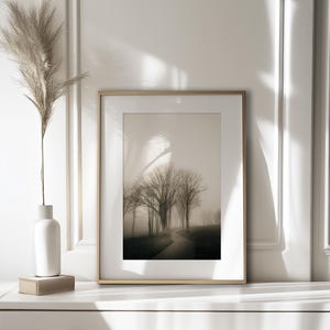 Foggy Tree path photography print.