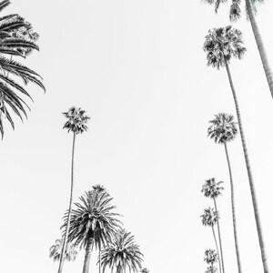 Set of 3 Santa Monica black and white photography prints showing the ferris wheel, palm trees and a lifeguard stand on the beach.