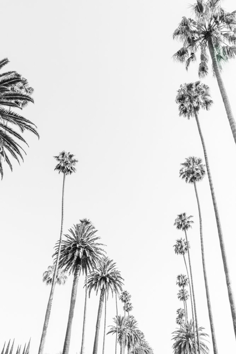 Set of 3 Santa Monica black and white photography prints showing the ferris wheel, palm trees and a lifeguard stand on the beach.
