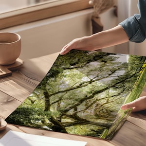 Photography print showing live oak tree branches in a long row extending to the ground.