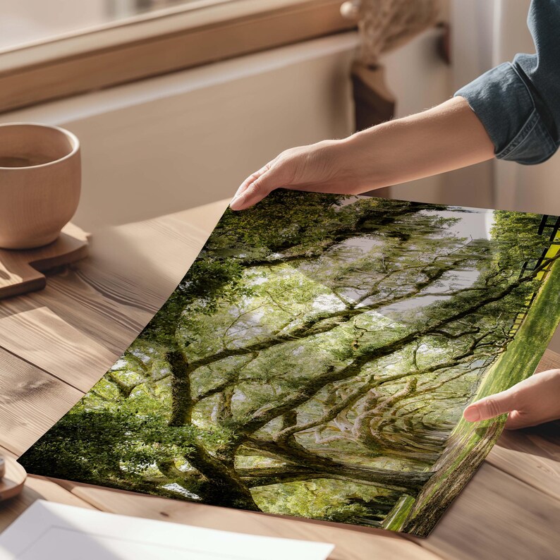 Photography print showing live oak tree branches in a long row extending to the ground.