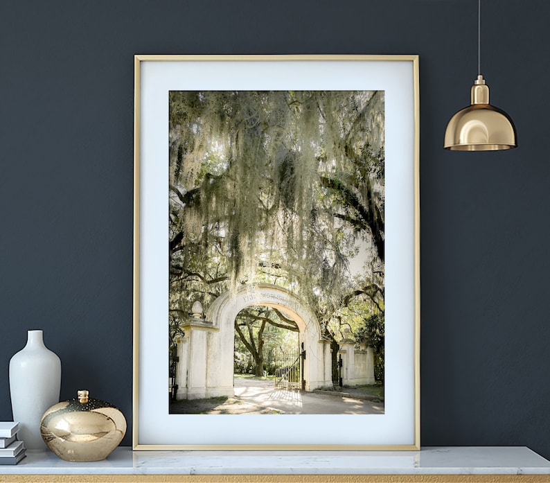 Photography print of the arch at Wormsloe in Savannah Georgia.  Shows Spanish moss on trees and sunshine.  Colors are green and white.