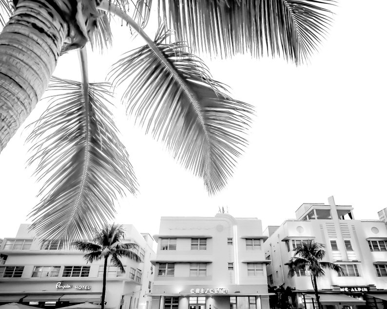 South Beach photography print showing 3 Art Deco hotels framed under a palm tree on the top left.  Black and white version.