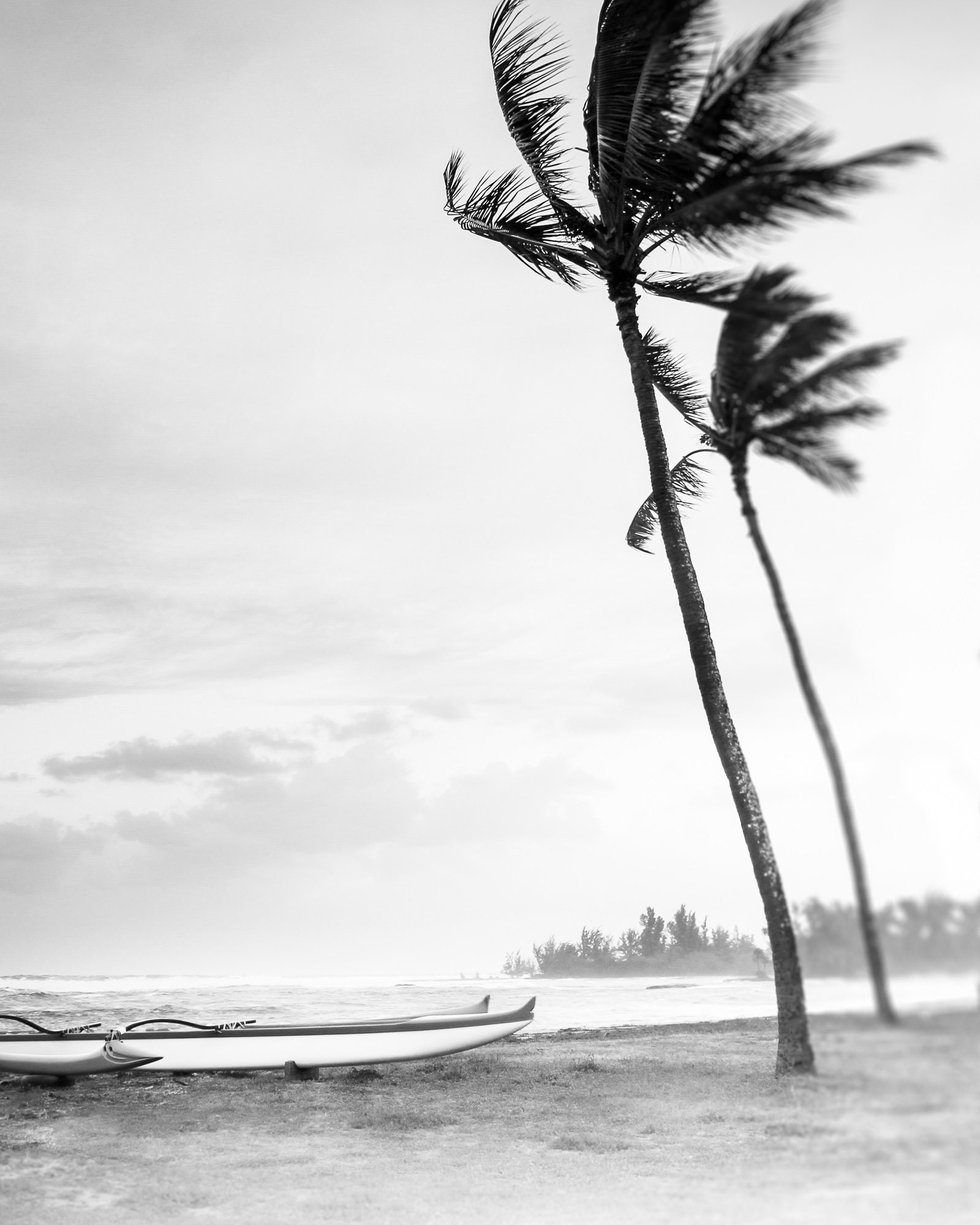 Hawaii Print Set of 3, Black and White Hawaii Photography, Beach Print ...