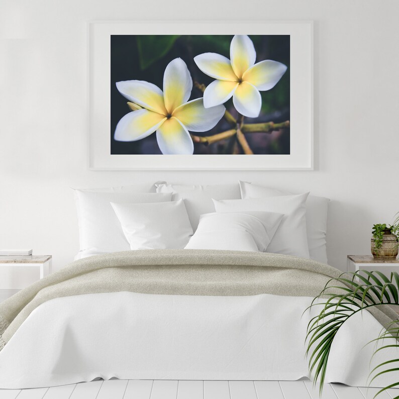 Hawaii Wall Art Photography Print Unframed Plumeria Art Etsy