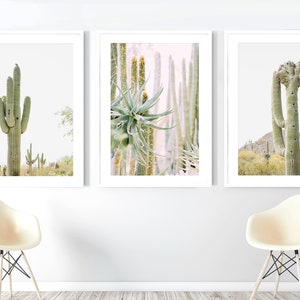 Cactus Print - Set of 3 Desert Prints |  Southwest Art, Phoenix Arizona Home Decor, Saguaro Art, Aloe | Many Sizes