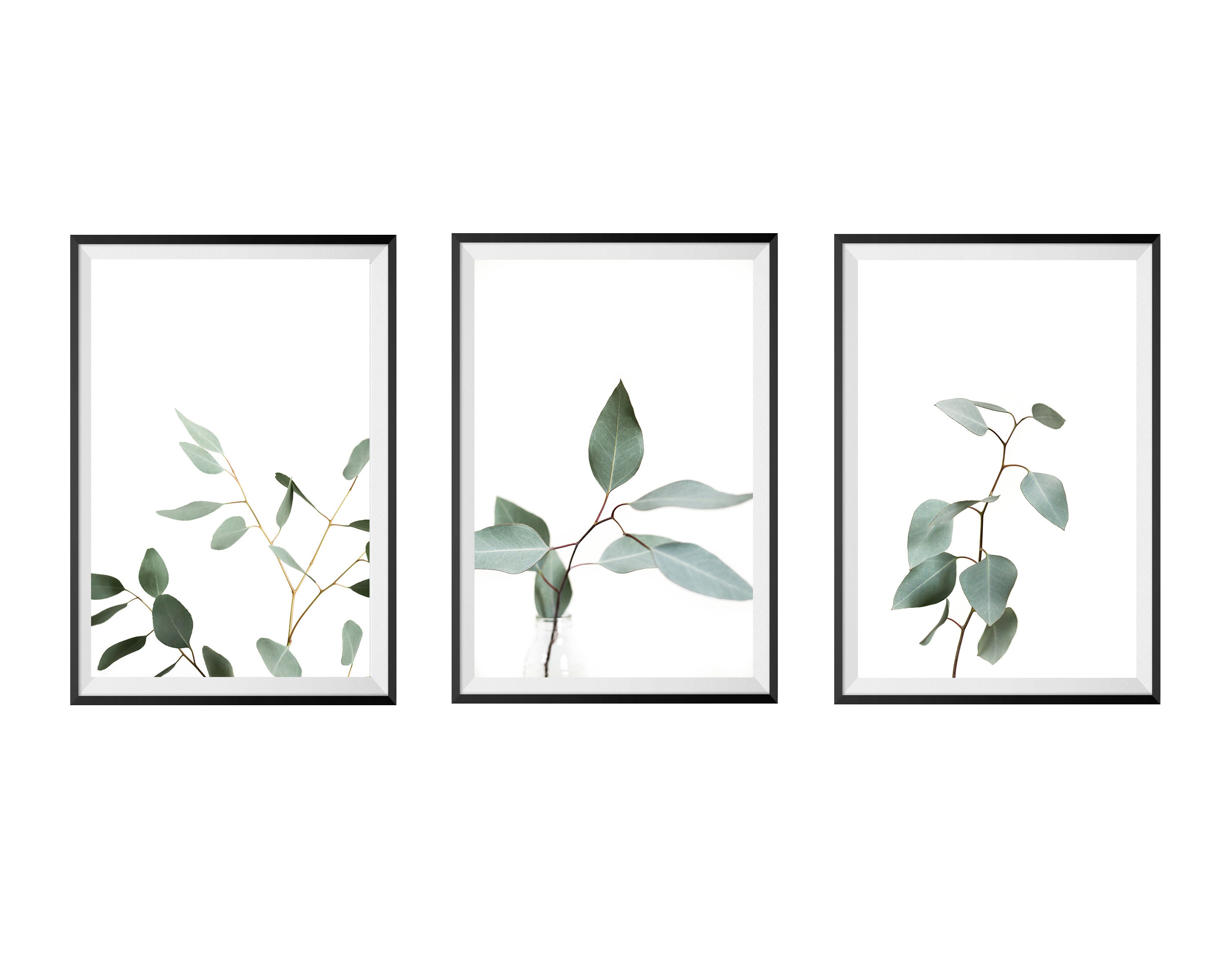 Eucalyptus Print Set of 3 Botanical Wall Decor Dusty Green Etsy