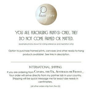 May include: White background with text stating prints are sold unframed and unmatted. The image includes the logo "pausepicture" in a circular design. Additional text mentions options for framed prints and international shipping.