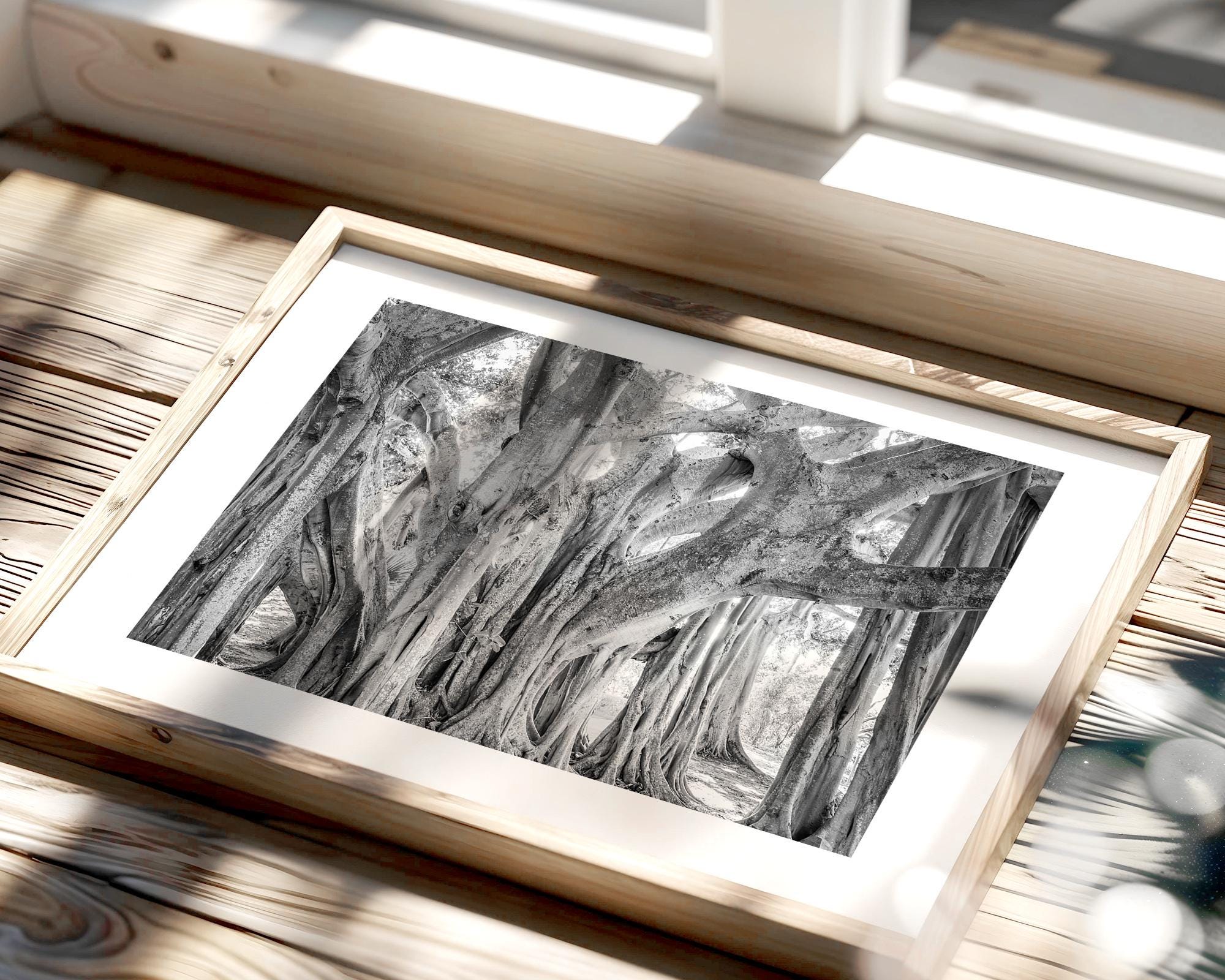 False Cypress Tree Banyan Tree Art Florida Print Old Tree Art Nature ...