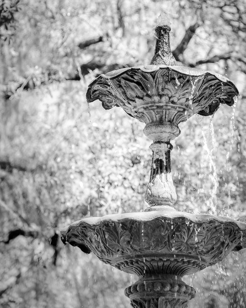 Savannah Art Savannah Photography Architectural Art Etsy