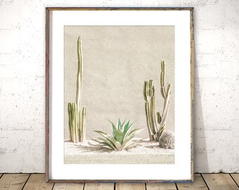 Cactus Print, Phoenix Arizona Art, Photography - Unframed | Desert Print, Southwest Art, Botanical Wall Art, Minimalist  | Pick Your Size