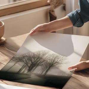 Foggy Tree path photography print.