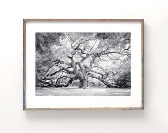 Angel Oak Tree Wall Art | Black and White Photography - Unframed | Charleston Print, Low Country Decor, Live Oak Tree,  | Pick Your Size