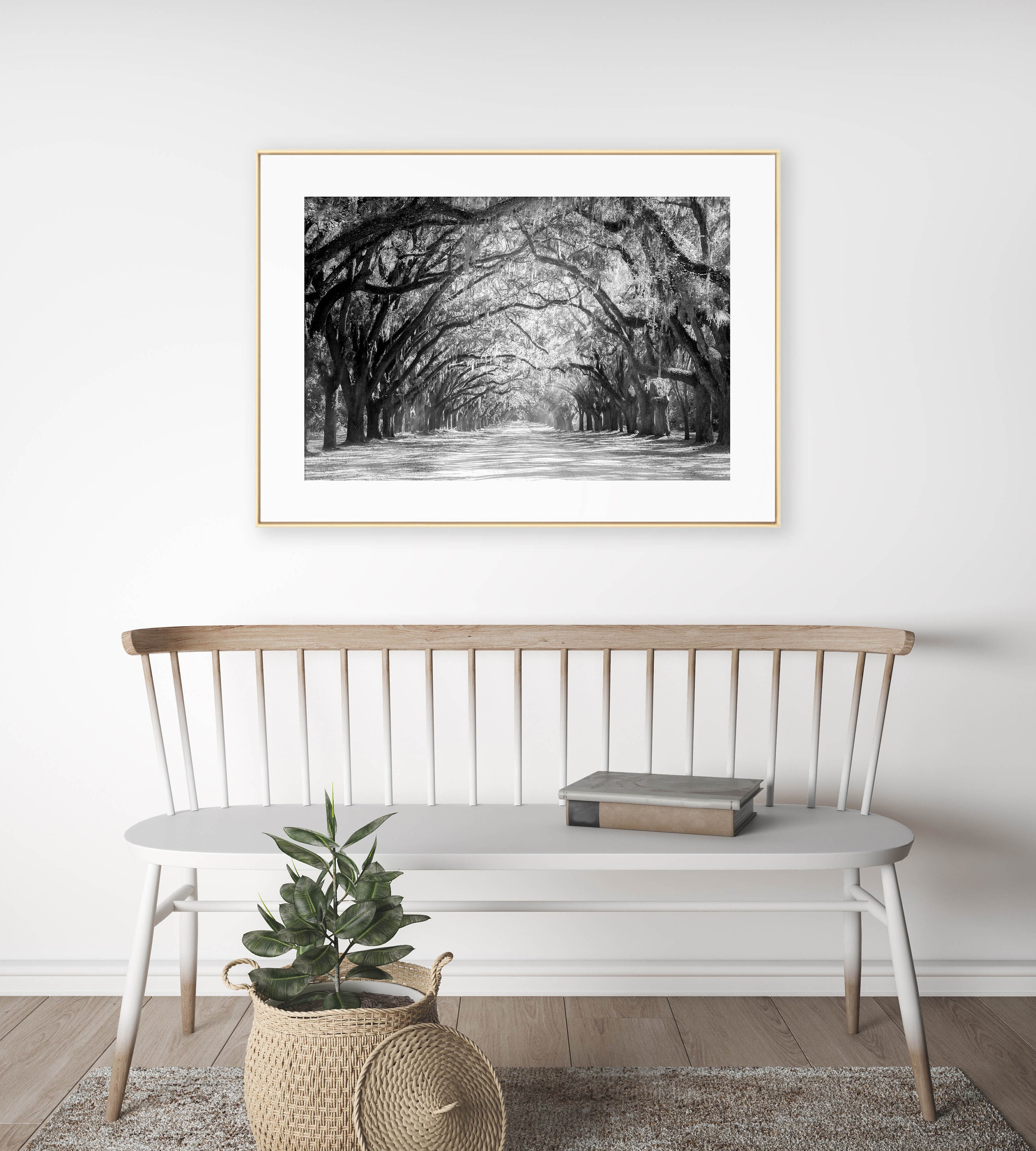 Live Oak Tree Print Road Art Savannah Photography | Etsy