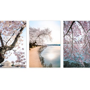 Washington DC Photography, Set of 3, Cherry Blossoms Print Set with Jefferson Memorial, Washington Monument and Tidal Basin | DC Wall Decor