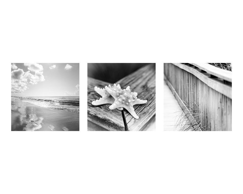 Set of 3 Coastal Wall Art Surf Decor Beach Photography Modern Coastal Art Starfish Black and White Print Set Beach House Decor
