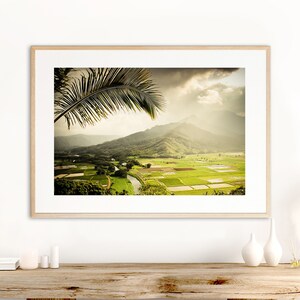 Hawaii Photography Art Print, Kauai Wall Decor, Green Hawaiian Landscape, Palm Tree, Taro Fields, Mountains, Spa Decor, Tropical, "Vert"