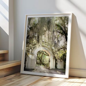 Savannah Photography, Wormsloe Plantation Art Print, Nature Landscape, Live Oak Tree Decor, Green Low Country, &quot;Wormsloe&quot;