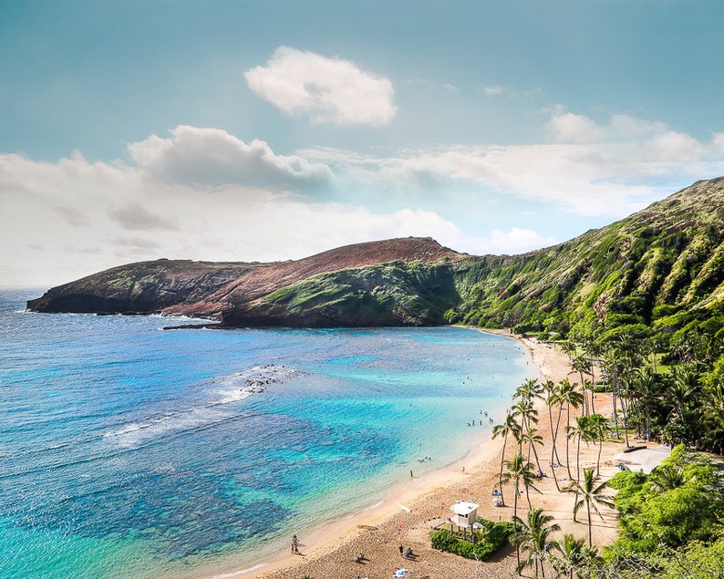 Hawaii Beach Photography, Hawaiian Art Print, Beach Landscape, Coastal Travel Art, Oahu, Hawaii Aerial, Blue, Aqua, Ocean Hanauma Bay Bold Color