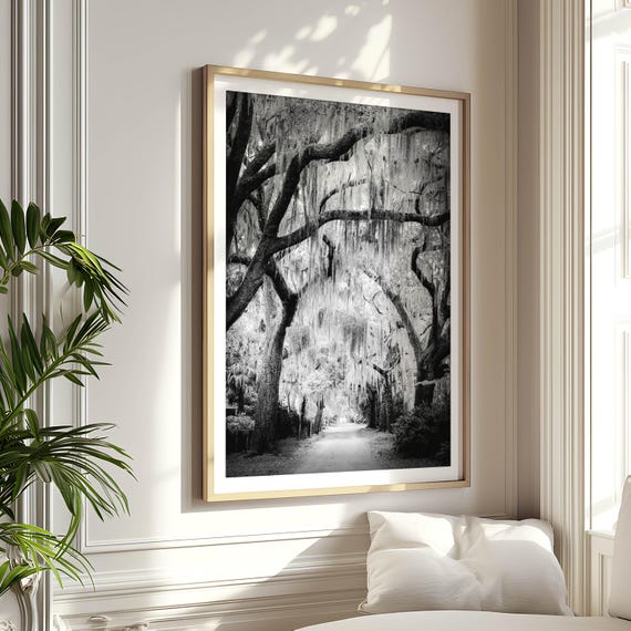 Spanish Moss Tree Print Live Oak Tree Art Black and White Southern