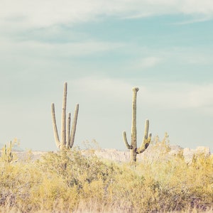 Set of 3 desert photgraphy prints showing scenes in Phoenix Arizona.  Shows 2 saguaro cactus, road in the desert and the Superstition Mountains.