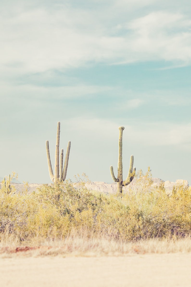 Set of 3 desert photgraphy prints showing scenes in Phoenix Arizona.  Shows 2 saguaro cactus, road in the desert and the Superstition Mountains.