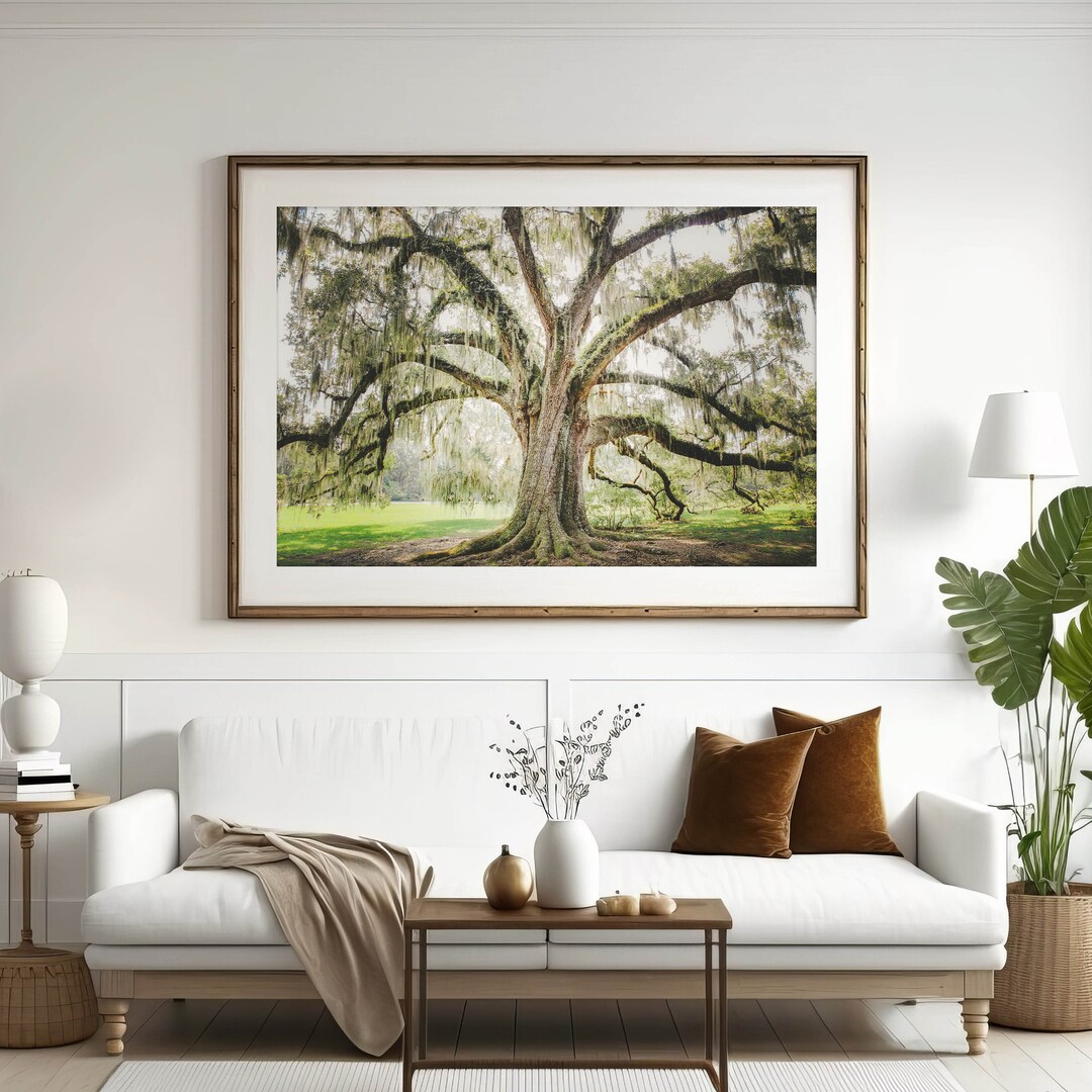 Tree Print, Live Oak Tree With Spanish Moss, Unframed Photography, Low
