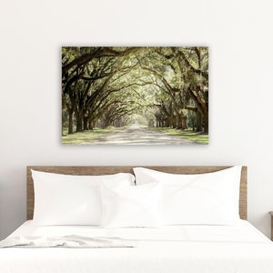 Live Oak Tree Print, Road Art Savannah Photography Unframed Spanish Moss, Tree Landscape,Tree Lined Street, Wormsloe Pick Your Size image 7