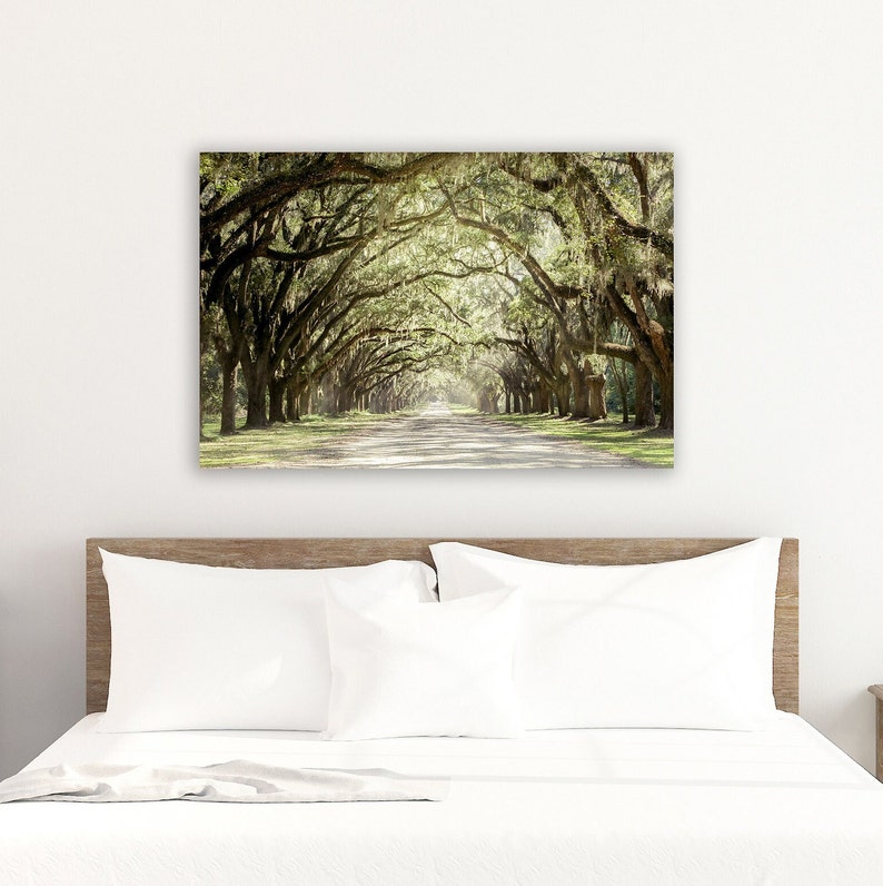 Live Oak Tree Print, Road Art Savannah Photography Unframed Spanish Moss, Tree Landscape,Tree Lined Street, Wormsloe Pick Your Size image 7