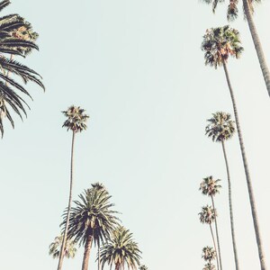 Los Angeles Photography Palm Tree Art California Decor LA - Etsy