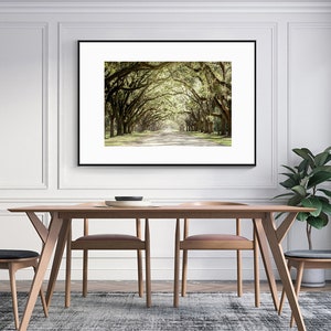 Live Oak Tree Print, Road Art Savannah Photography Unframed Spanish Moss, Tree Landscape,Tree Lined Street, Wormsloe Pick Your Size image 6