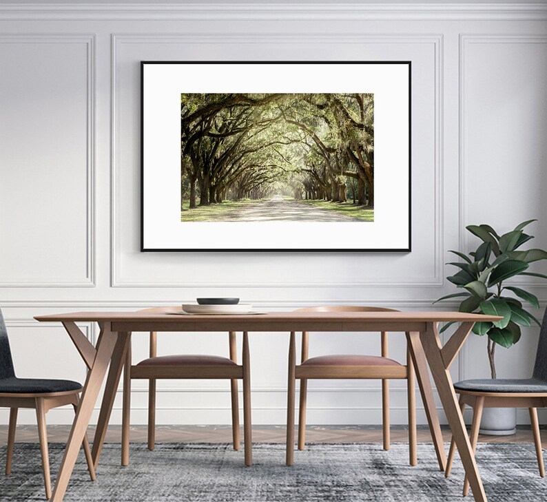 Live Oak Tree Print, Road Art Savannah Photography Unframed Spanish Moss, Tree Landscape,Tree Lined Street, Wormsloe Pick Your Size image 6