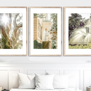 Savannah Georgia Art, Set of 3 Savannah Wall Art Georgia Forsyth Fountain Live Oak Tree Spanish Moss Print Savannah Gift Wormsloe