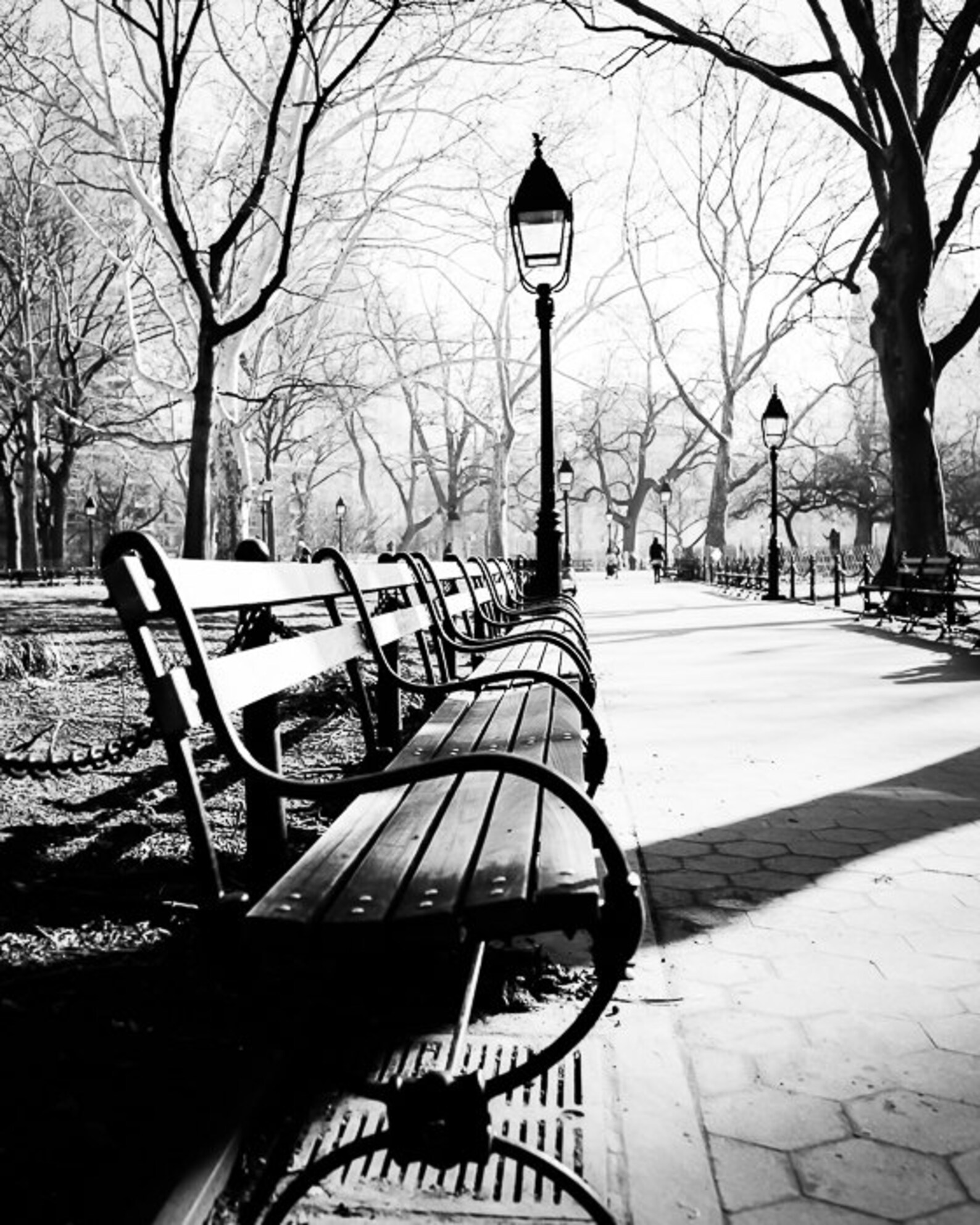 New York Art Park Bench Print Black and White Photography Etsy
