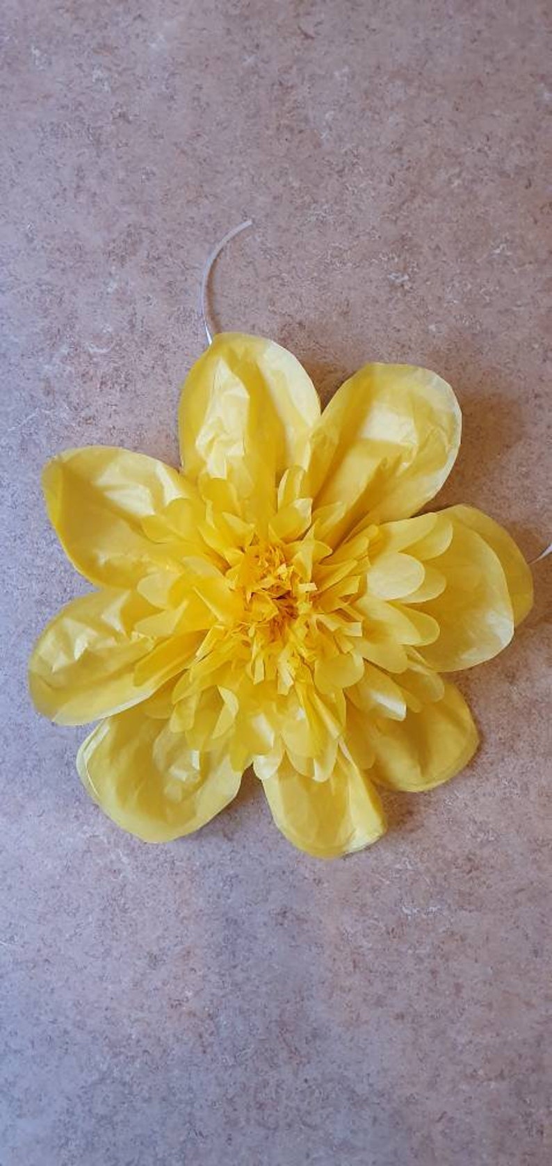 3 x 14 inch tissue paper flowers daffodils party wedding Etsy