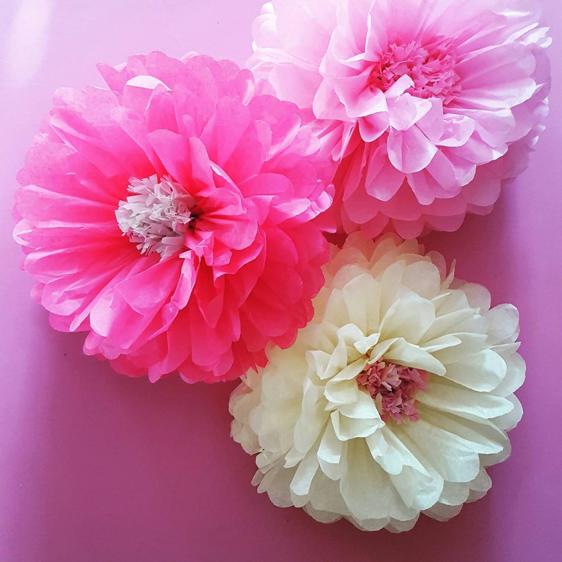 Set of 3 Wall Tissue Paper Flowers Wedding Party Birthday Etsy