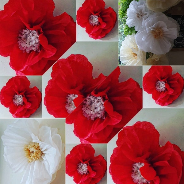 1 x Paper flowers WEDDING PAPER FLOWERS wall backdrop  tissue paper flowers valentines party birthday bedroom  nursery decorations