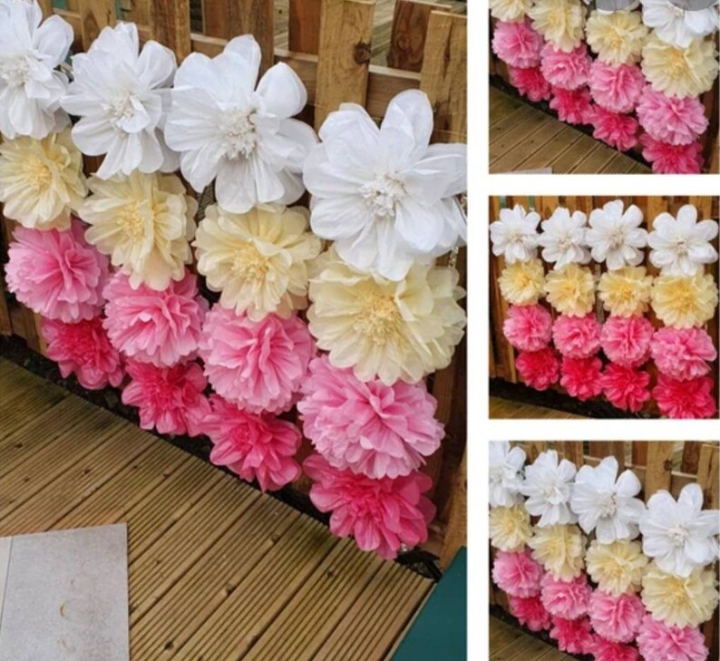 16 Tissue Paper Pom Pom Flower Wall Backdrop Photo Flower Etsy