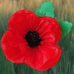 papavero rosso giorno della memoria fiori di carta velina vetrina del negozio decorazioni del mago di oz decorazioni per matrimoni fondale da parete