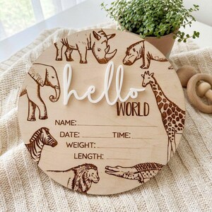 Hello World Safari