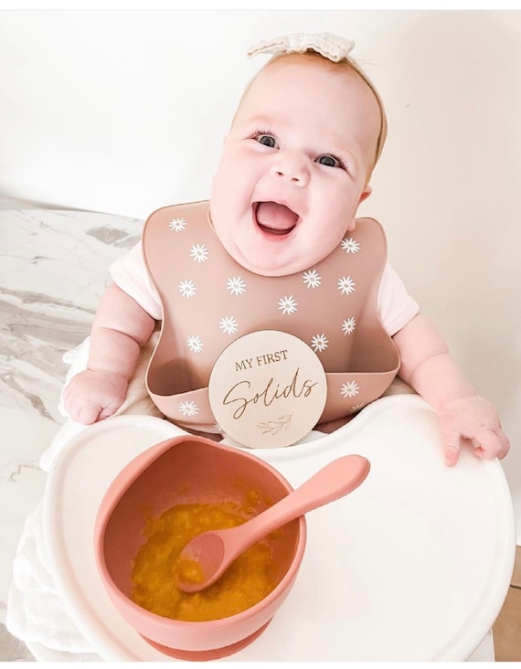 Monthly Milestone Signs Baby Monthly Milestone Cards - Wooden Monthly Milestone Discs To Document Your Babys Growth Sign Air Balloon Baby Announcement Newborn Photography Props