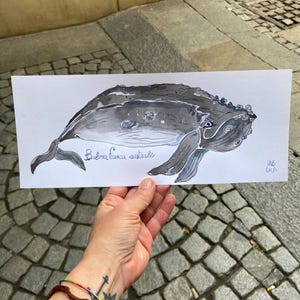 balena acquerello originale