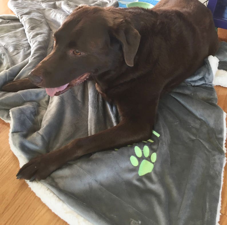 Dog Blanket/ Gift for Dog Lovers /monogrammed Dog Blanket / Etsy